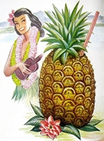 tropical drink_illustration
